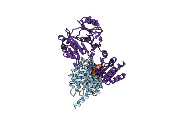 8Z03 image