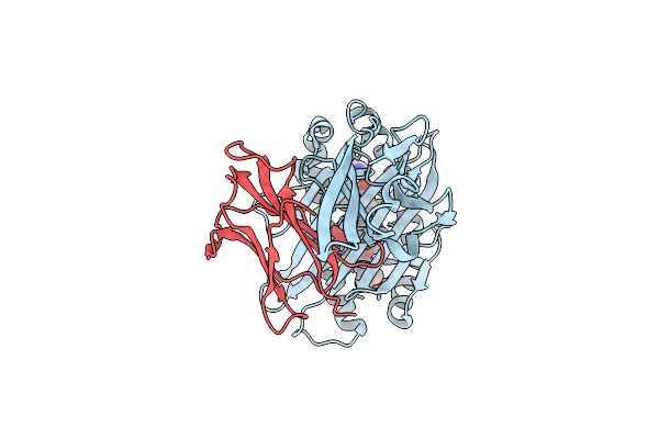 8Z05 image