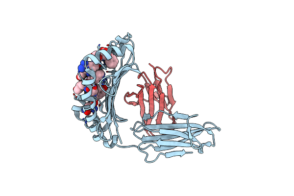 8Z06 image