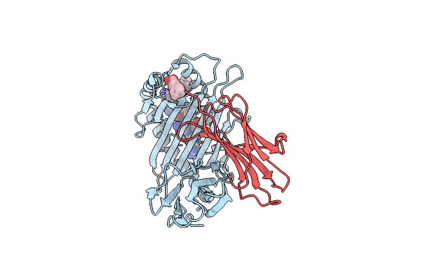8Z07 image