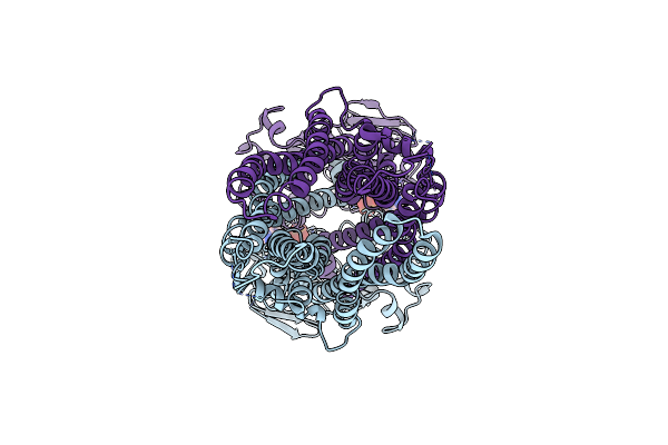 8Z0F image
