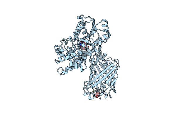 8Z0G image