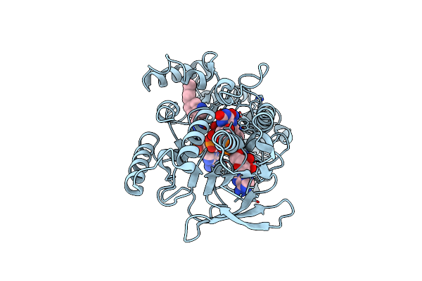 8Z15 image