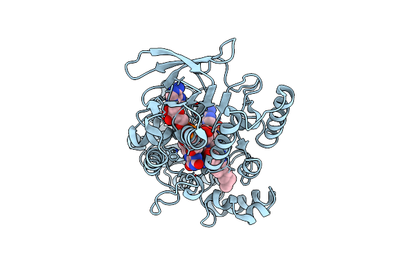 8Z16 image
