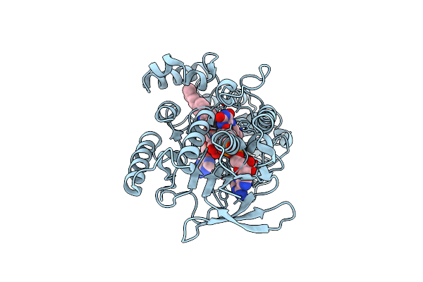 8Z17 image