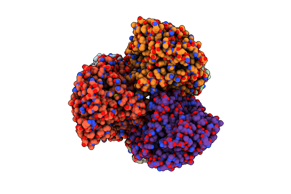 8Z1C image