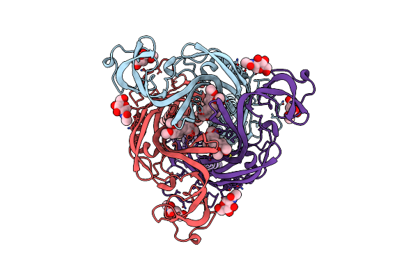 8Z1D image