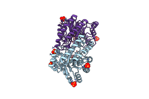 8Z1I image