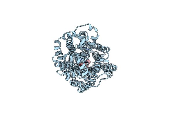 8Z1L image