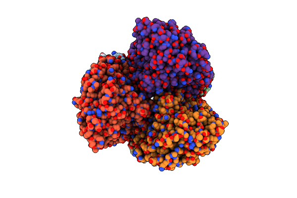 8Z1M image