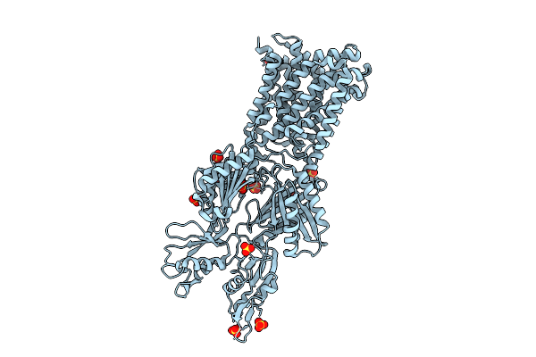 8Z1U image