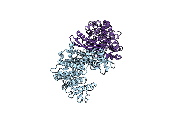 8Z2A image