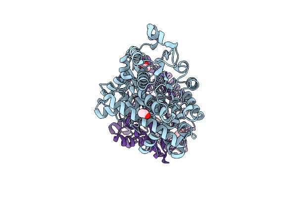 8Z2C image