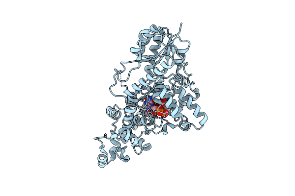 8Z2D image