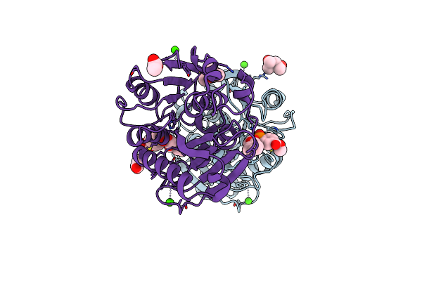 8Z2J image