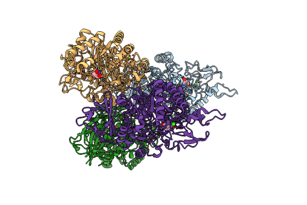 8Z2L image