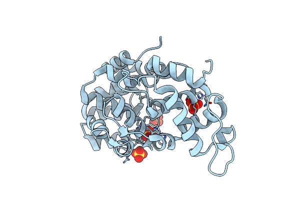 8Z2M image