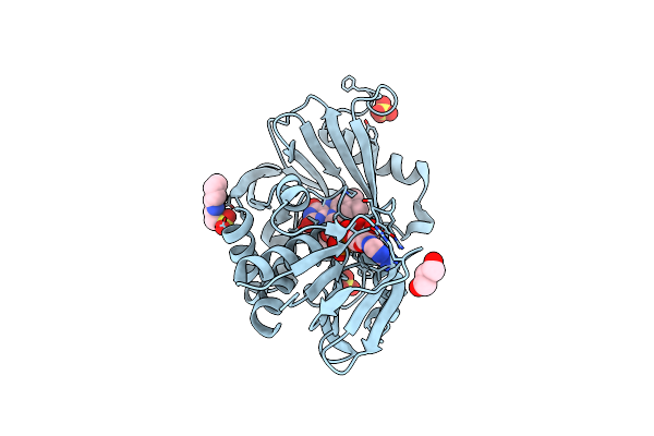 8Z2O image
