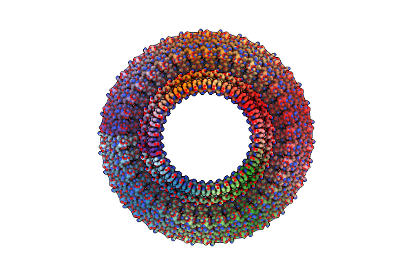 8Z4D image