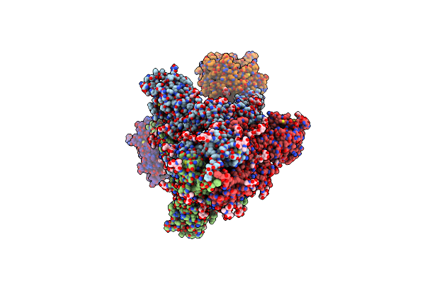 8Z4X image