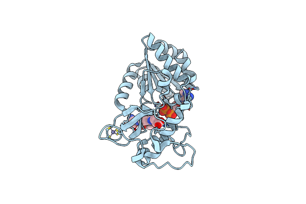 8Z55 image