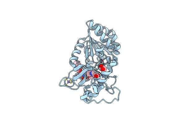 8Z56 image