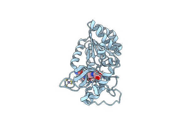 8Z58 image