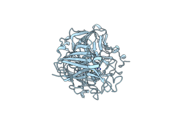 8Z5B image