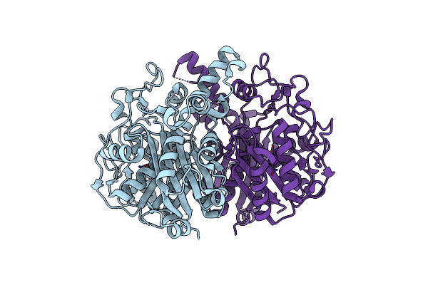 8Z5C image
