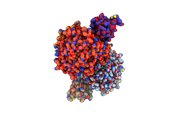8Z5E image