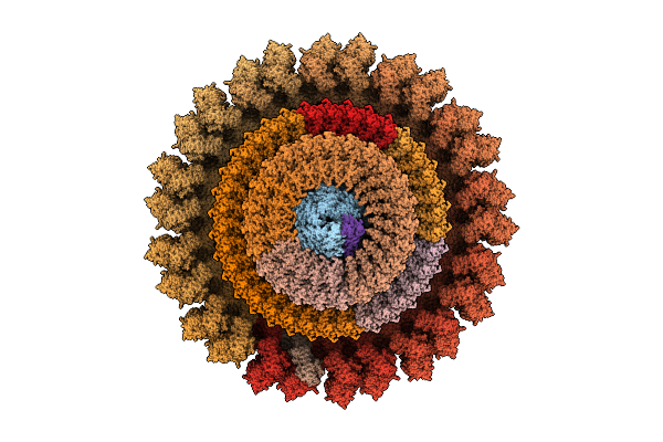 8Z60 image