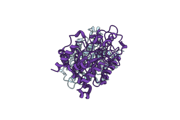 8Z63 image
