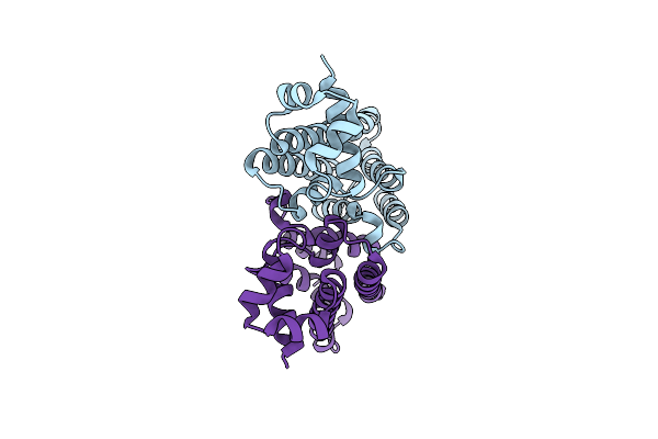 8Z6D image