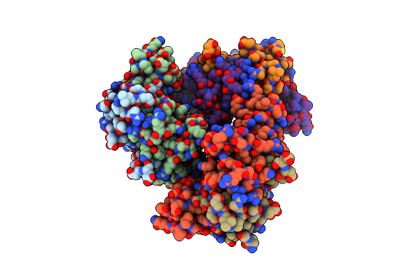 8Z6G image