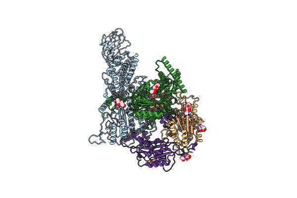 8Z6H image