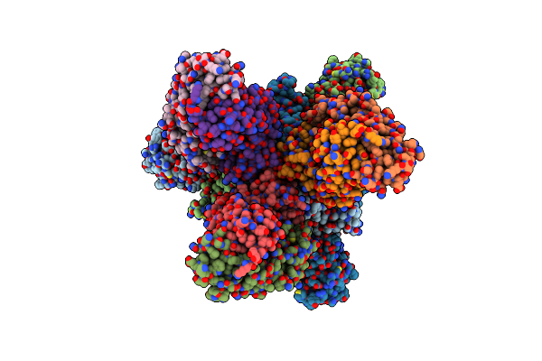 8Z6R image