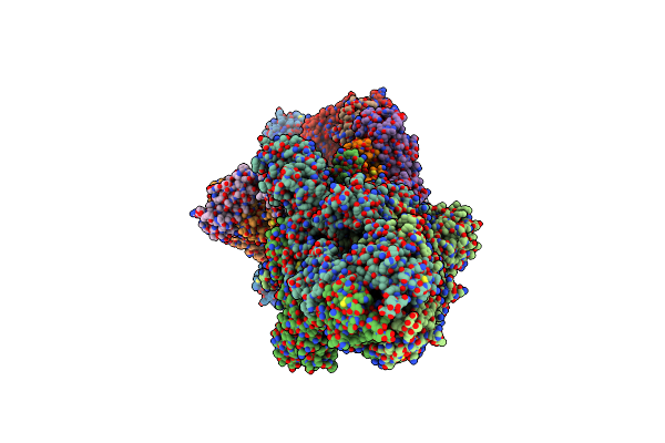 8Z6U image