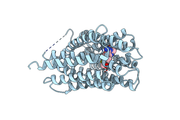8Z7X image