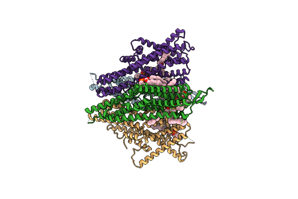 8Z9A image