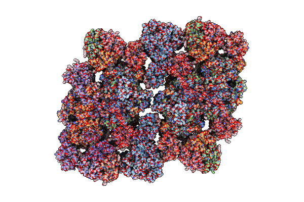 8Z9D image
