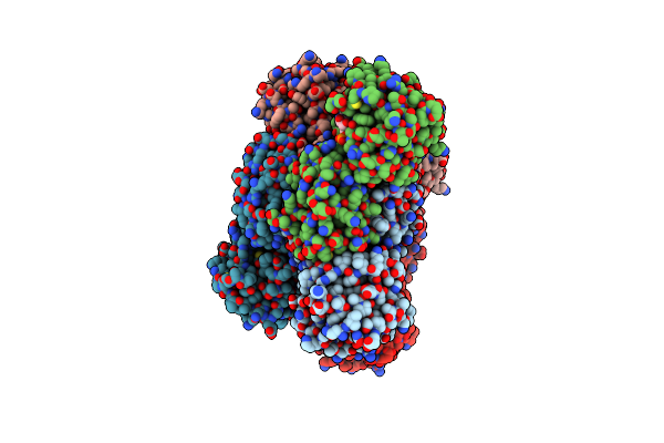 8Z9F image