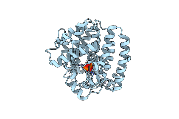 8ZAG image