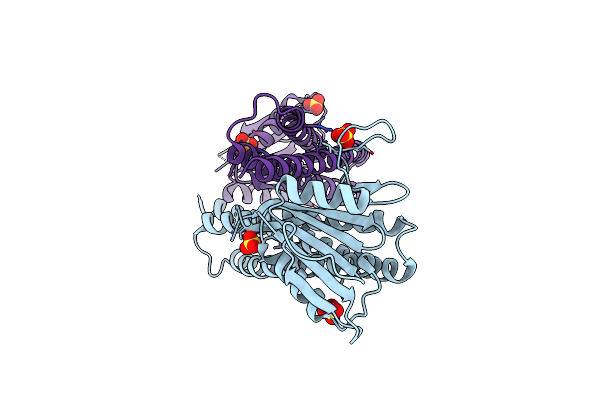 8ZAH image