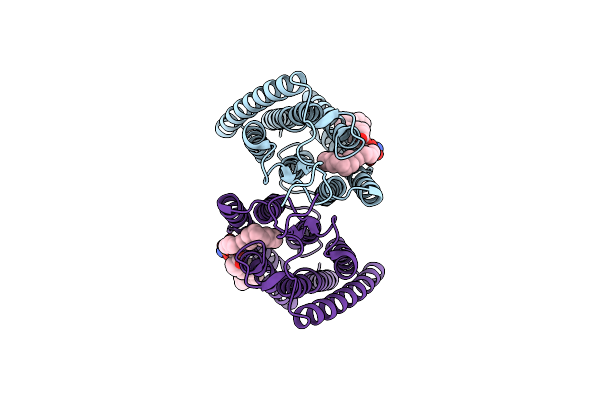 8ZAM image