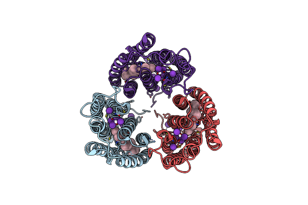 8ZAP image