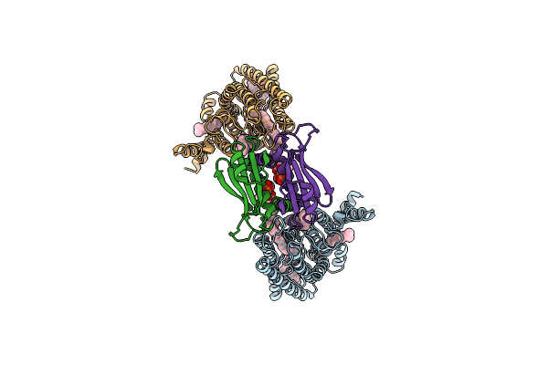 8ZB1 image