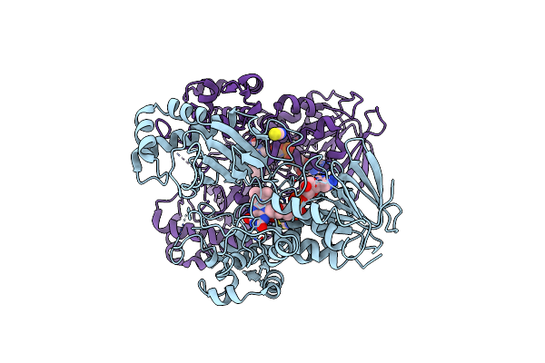 8ZB2 image