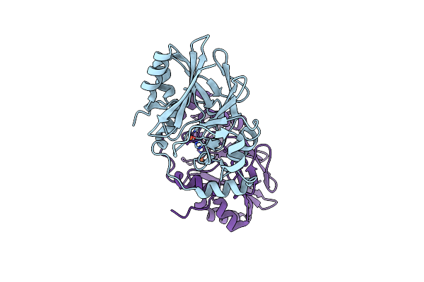 8ZBD image