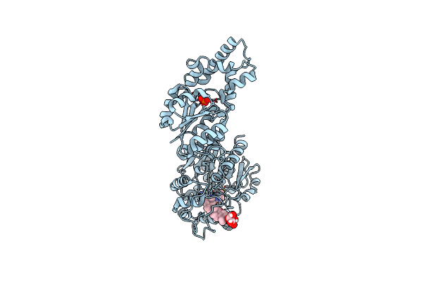 8ZBL image