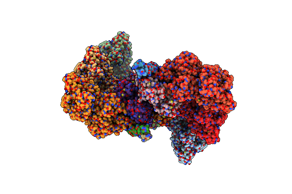 8ZBM image